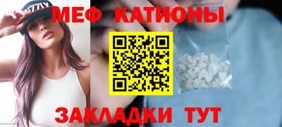 крисы Шелехов