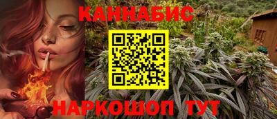 крисы Шелехов