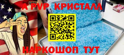 крисы Шелехов