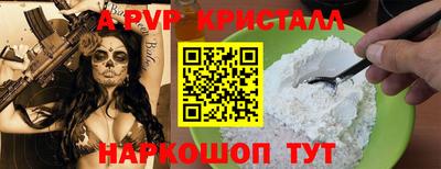 крисы Шелехов