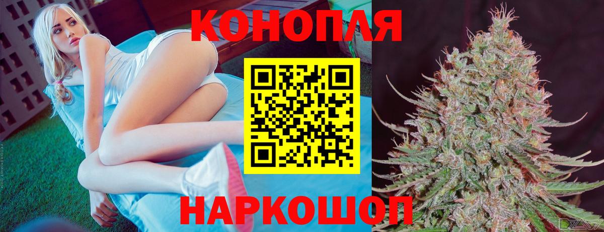 Бошки Шишки конопля Ишим